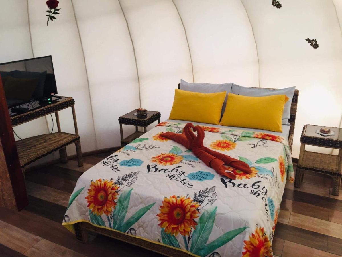 Zamboanguita  Shenanigans Glamping Resort מראה חיצוני תמונה